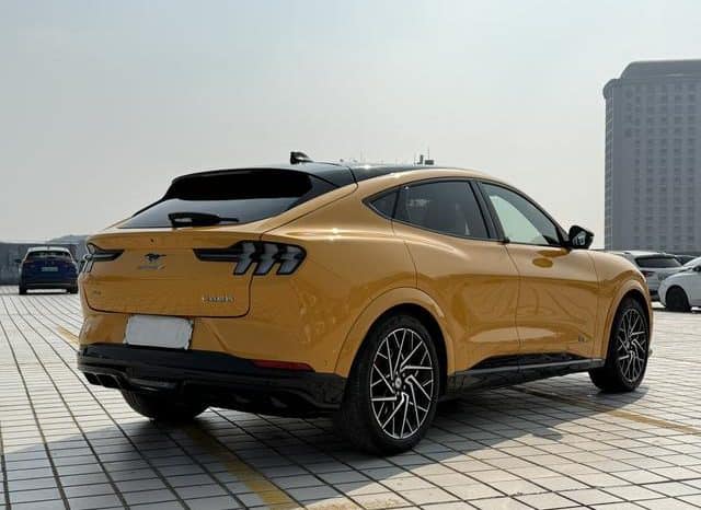 
								Ford Mustang Mach-E, 2024 full									