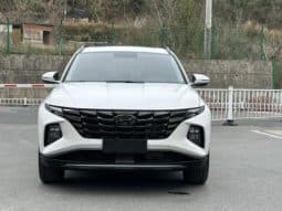 
										Hyundai Tucson (III), 2023 full									