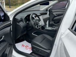 
										Hyundai Tucson (III), 2023 full									