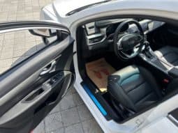 
										Geely Emgrand, 2020 full									