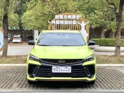 
										Geely Binrui, 2023 full									