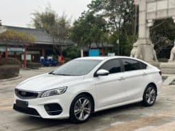 67cb365998ba8 Geely Binrui, 2020