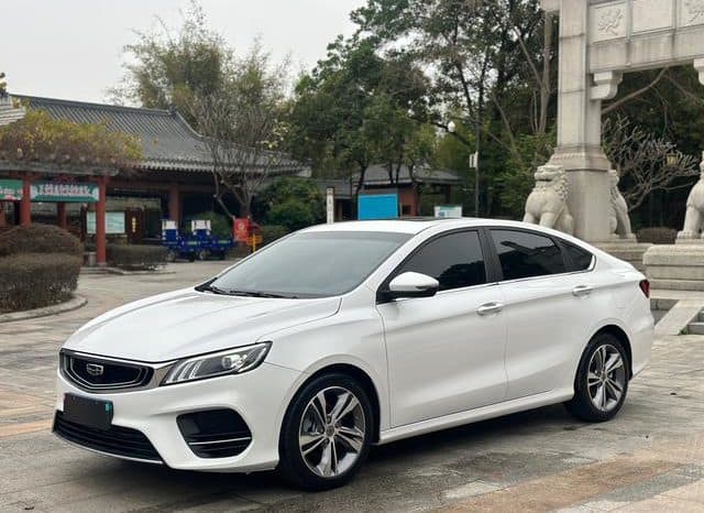 67cb365998ba8 Geely Binrui, 2020