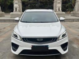 
										Geely Binrui, 2020 full									