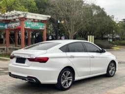 
										Geely Binrui, 2020 full									