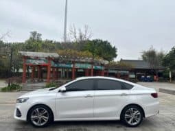 
										Geely Binrui, 2020 full									
