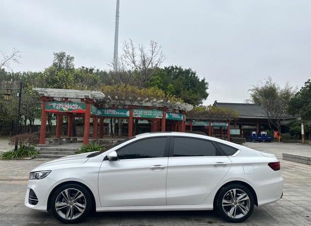 
								Geely Binrui, 2020 full									