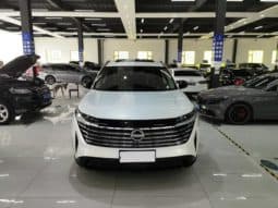 
										Nissan Pathfinder, 2024 full									