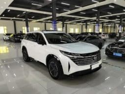 
										Nissan Pathfinder, 2024 full									