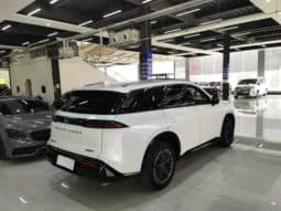 
										Nissan Pathfinder, 2024 full									