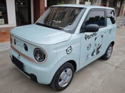 67cb48a681185 Geely Panda, 2024