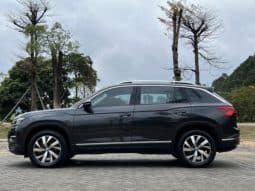 
										Volkswagen Tayron, 2020 full									