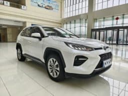 
										Toyota Wildlander, 2021 full									
