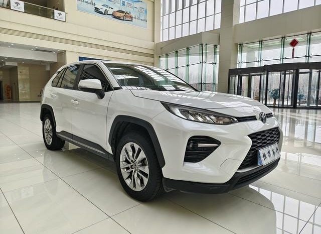 
								Toyota Wildlander, 2021 full									