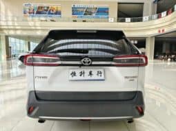 
										Toyota Wildlander, 2021 full									