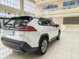 
										Toyota Wildlander, 2021 full									