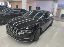 Volkswagen Magotan, 2020