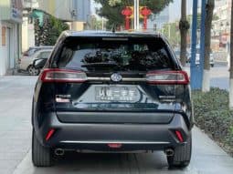 
										Toyota Wildlander, 2021 full									