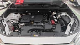 
										Toyota RAV4 (IV), 2024 full									