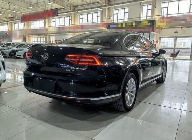 
								Volkswagen Magotan, 2020 full									