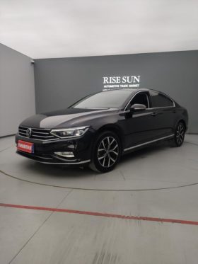 Volkswagen Magotan, 2021