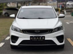 
										Geely Binrui, 2020 full									