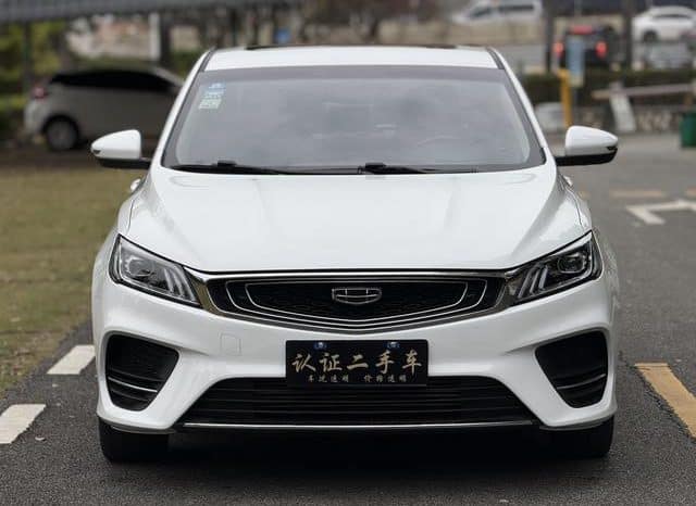 
								Geely Binrui, 2020 full									