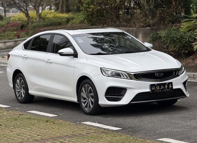 
								Geely Binrui, 2020 full									