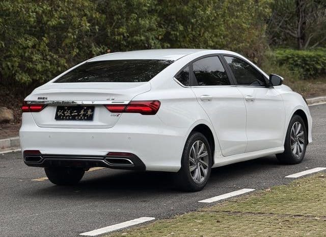 
								Geely Binrui, 2020 full									