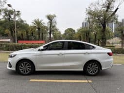 
										Geely Binrui, 2020 full									