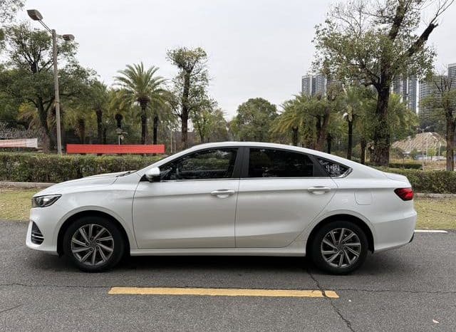 
								Geely Binrui, 2020 full									