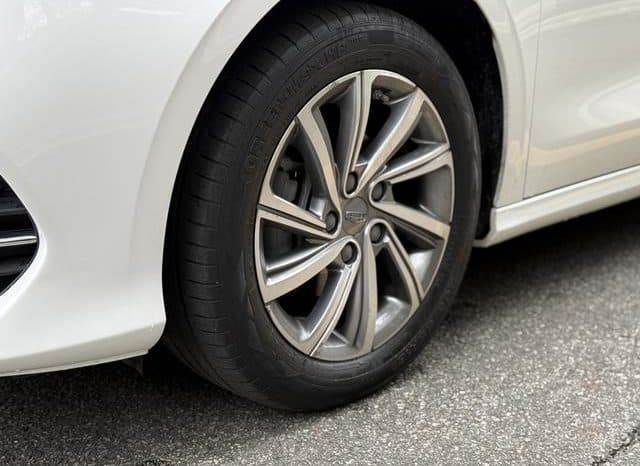 
								Geely Binrui, 2020 full									