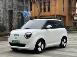67cbd6a2a937e Changan Lumin, 2024