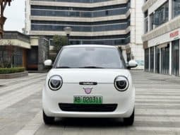 
										Changan Lumin, 2024 full									