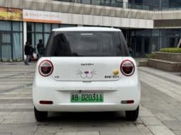 
										Changan Lumin, 2024 full									