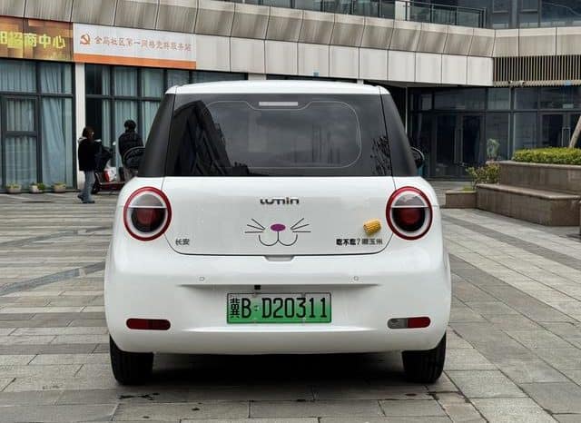 
								Changan Lumin, 2024 full									