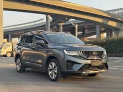 
										Geely Okavango (I), 2021 full									