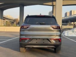 
										Geely Okavango (I), 2021 full									