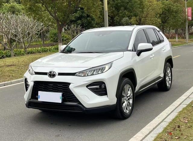 67cc68c356267 Toyota Wildlander, 2024