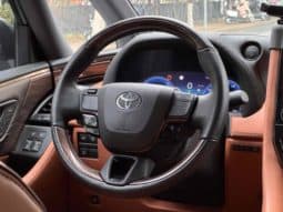 
										Toyota Vellfire (II), 2024 full									