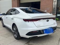 
										Hyundai Lafesta, 2020 full									