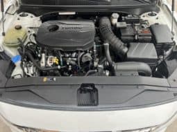 
										Hyundai Lafesta, 2020 full									