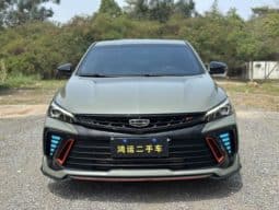 
										Geely Binrui, 2022 full									