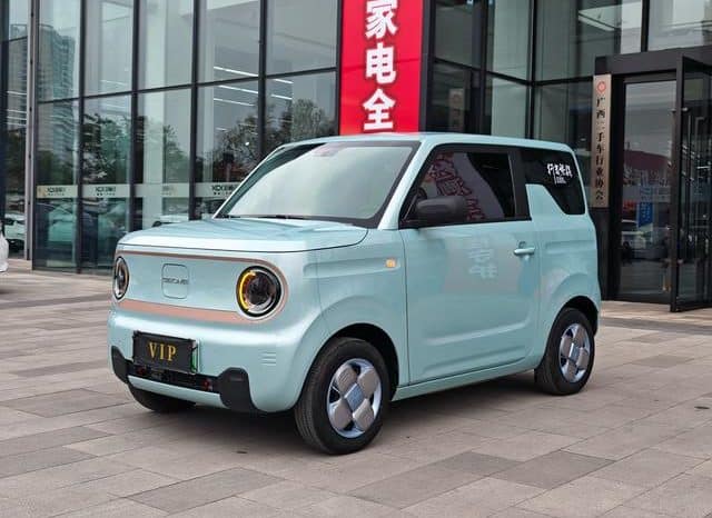 67cea46ed840a Geely Panda, 2023