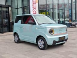 
										Geely Panda, 2023 full									