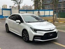 
										Toyota Levin, 2020 full									