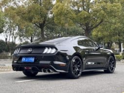 
										Ford Mustang (VI), 2021 full									