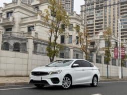 67ceac908b3de Geely Binrui, 2021