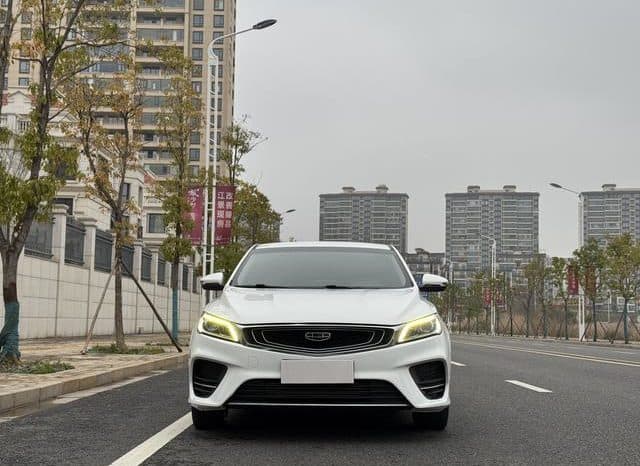 
								Geely Binrui, 2021 full									