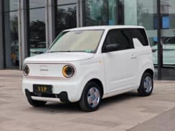 Geely Panda, 2023